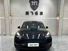 Tesla Model Y Long Range All-Wheel Drive - ფოტო 2