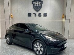 Tesla Model Y Long Range All-Wheel Drive - ფოტო 3
