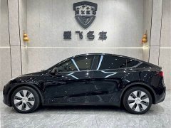 Tesla Model Y Long Range All-Wheel Drive - ფოტო 4