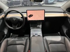 Tesla Model Y Long Range All-Wheel Drive - ფოტო 7