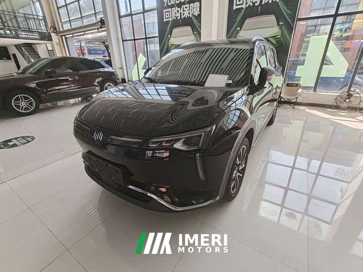 Weltmeister WM Motor W6 520km PRO All-Purpose Edition - ავტომობილი ჩინეთიდან