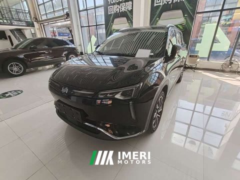 2021 Weltmeister WM Motor W6 520km PRO All-Purpose Edition - ავტომობილი ჩინეთიდან