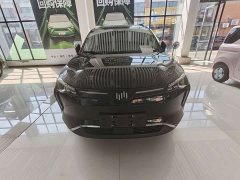 Weltmeister WM Motor W6 520km PRO All-Purpose Edition - ფოტო 2