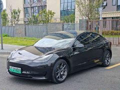 Tesla Model 3 Standard Range RWD Upgrade 3D6 - ფოტო 1