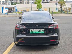 Tesla Model 3 Standard Range RWD Upgrade 3D6 - ფოტო 10