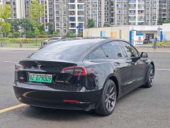 Tesla Model 3 Standard Range RWD Upgrade 3D6 - ფოტო 11