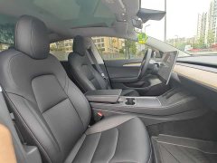 Tesla Model 3 Standard Range RWD Upgrade 3D6 - ფოტო 16