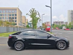 Tesla Model 3 Standard Range RWD Upgrade 3D6 - ფოტო 18