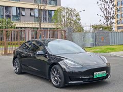 Tesla Model 3 Standard Range RWD Upgrade 3D6 - ფოტო 3
