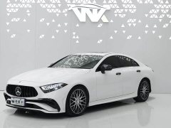 Mercedes-Benz CLS 300 Dynamic - ფოტო 1