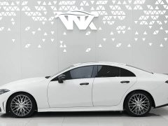 Mercedes-Benz CLS 300 Dynamic - ფოტო 3