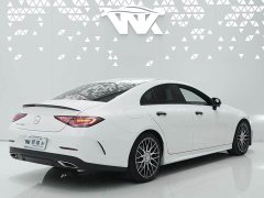 Mercedes-Benz CLS 300 Dynamic - ფოტო 4