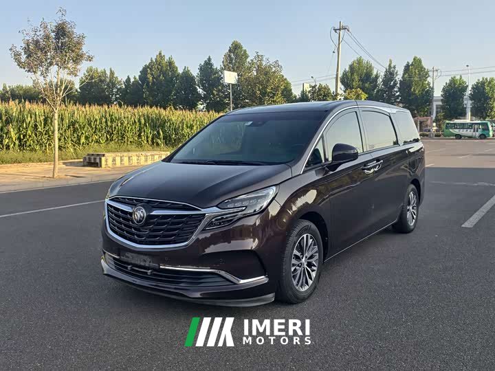 Buick GL8 ES Land Respect 653T Respect Enjoyment Edition - ავტომობილი ჩინეთიდან