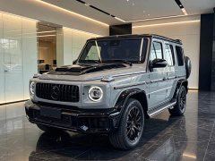 Mercedes-Benz G-Class G 500 - ფოტო 1