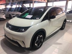 BYD Dolphin 405km Fashion Edition - ფოტო 1