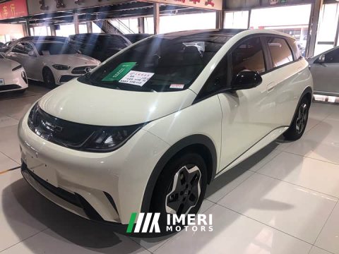 2022 BYD Dolphin 405km Fashion Edition - ავტომობილი ჩინეთიდან