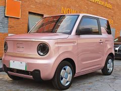 Geely Panda Mini 200km Agile Panda - ფოტო 1