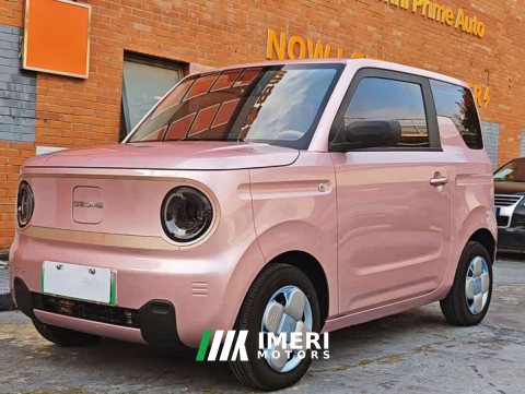 2023 Geely Panda Mini 200km Agile Panda - ავტომობილი ჩინეთიდან
