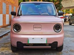 Geely Panda Mini 200km Agile Panda - ფოტო 2