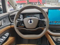 Denza D9 2022 DM-i 970 AWD Flagship - ფოტო 6