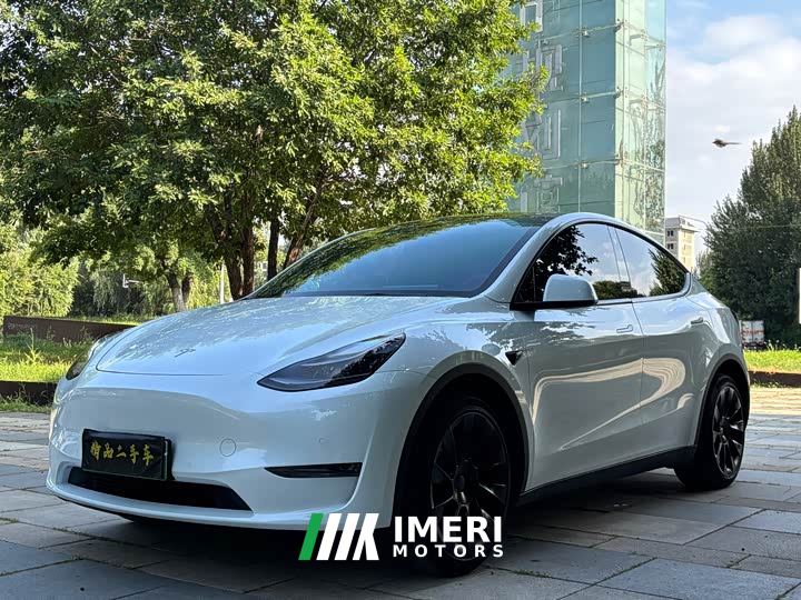 Tesla Model Y Long Range All-Wheel Drive 3D7