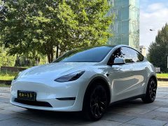 Tesla Model Y Long Range All-Wheel Drive 3D7 - ფოტო 1