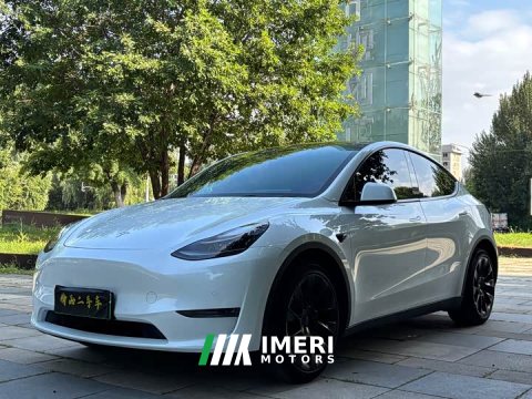 2021 Tesla Model Y Long Range All-Wheel Drive 3D7 - ავტომობილი ჩინეთიდან