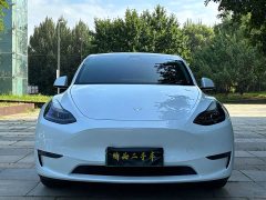 Tesla Model Y Long Range All-Wheel Drive 3D7 - ფოტო 2