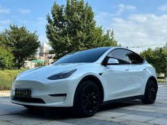Tesla Model Y Long Range All-Wheel Drive 3D7 - ფოტო 3