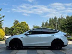 Tesla Model Y Long Range All-Wheel Drive 3D7 - ფოტო 4