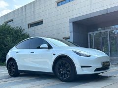 Tesla Model Y Long Range All-Wheel Drive 3D7 - ფოტო 6