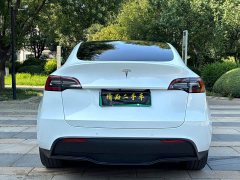 Tesla Model Y Long Range All-Wheel Drive 3D7 - ფოტო 8
