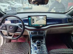 BYD Qin PLUS 2021 EV 500KM Luxury - ფოტო 6