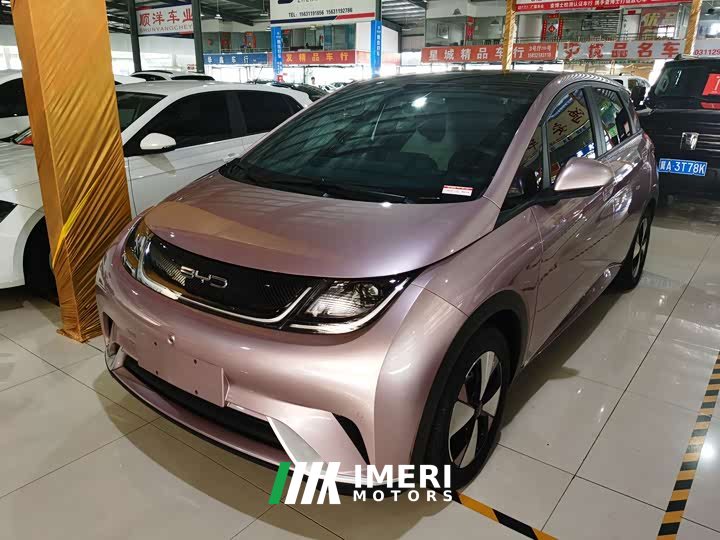 BYD Dolphin 420km Fashion Edition - ავტომობილი ჩინეთიდან