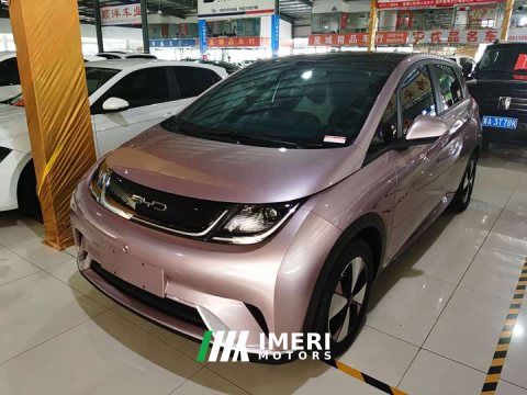 2023 BYD Dolphin 420km Fashion Edition - ავტომობილი ჩინეთიდან