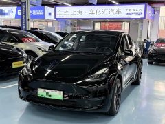 Tesla Model Y Long Range All-Wheel Drive - ფოტო 1
