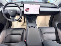 Tesla Model Y Long Range All-Wheel Drive - ფოტო 10