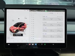 Tesla Model Y Long Range All-Wheel Drive - ფოტო 11