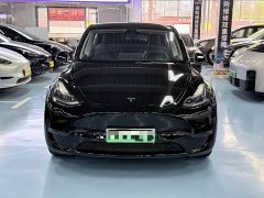 Tesla Model Y Long Range All-Wheel Drive - ფოტო 2