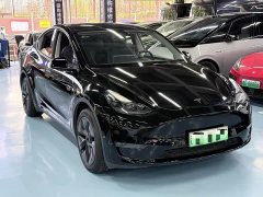 Tesla Model Y Long Range All-Wheel Drive - ფოტო 3