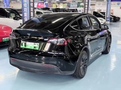 Tesla Model Y Long Range All-Wheel Drive - ფოტო 4
