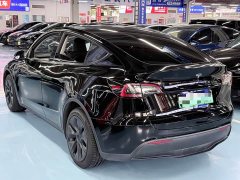 Tesla Model Y Long Range All-Wheel Drive - ფოტო 6