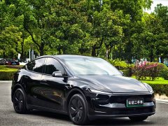 Tesla Model Y Rear-Wheel Drive Launch Edition - ფოტო 3