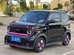 Geely Panda 210km Panda Kart - ფოტო 1