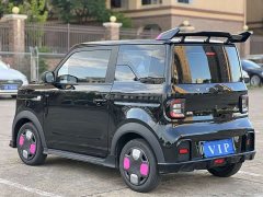 Geely Panda 210km Panda Kart - ფოტო 10