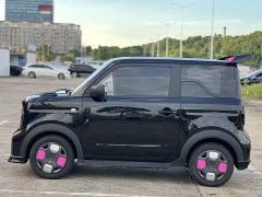 Geely Panda 210km Panda Kart - ფოტო 11