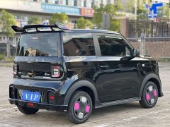Geely Panda 210km Panda Kart - ფოტო 14