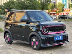 Geely Panda 210km Panda Kart - ფოტო 3