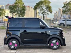 Geely Panda 210km Panda Kart - ფოტო 8