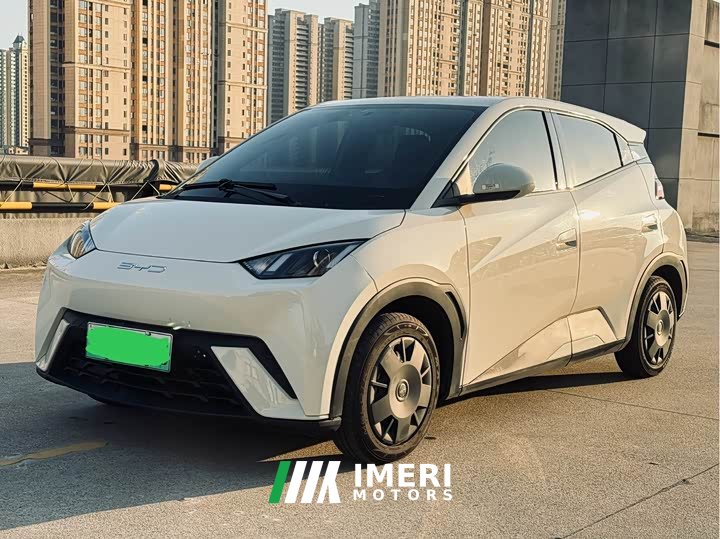 BYD Seagull Vitality Edition - ავტომობილი ჩინეთიდან